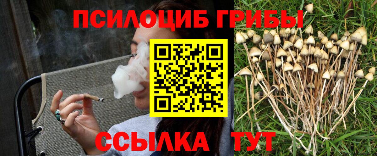 Гусь-Хрустальный  где можно купить   Вход с VPN  Псилоцибиновые грибы мицелий 